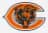 Chicago Bears